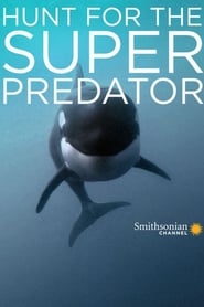 The Search for the Oceans Super Predator' Poster