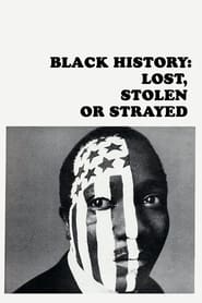 Black History Lost Stolen or Strayed
