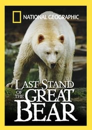 The Last Stand of the Great Bear' Poster