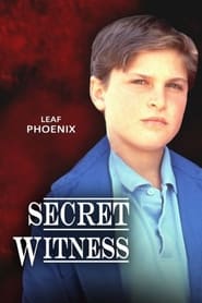 Secret Witness' Poster