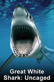 Great White Shark Uncaged' Poster