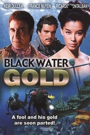 Black Water Gold' Poster
