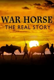 War Horse The Real Story' Poster