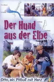 Der Hund aus der Elbe' Poster