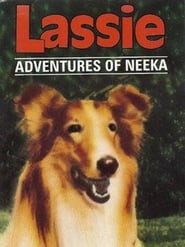 Lassie The Adventures of Neeka' Poster