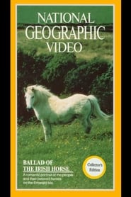Ballad of the Irish Horse' Poster