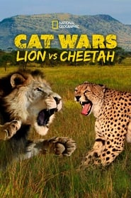 Cat Wars Lion Vs Cheetah' Poster