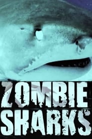 Zombie Sharks' Poster