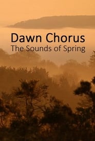 Dawn Chorus The Sounds of Spring' Poster