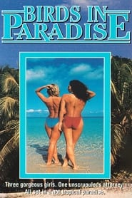 Birds in Paradise' Poster