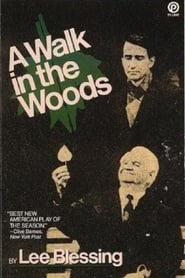A Walk in the Woods' Poster