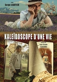 Kaleidoscope of a life' Poster