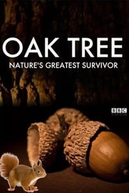 Oak Tree Natures Greatest Survivor' Poster