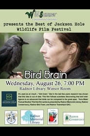 Bird Brain' Poster