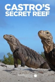 Castros Secret Reef' Poster