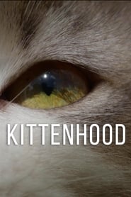 Kittenhood' Poster