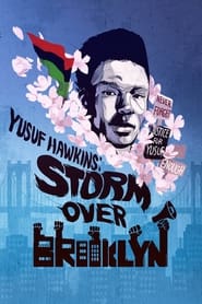 Yusuf Hawkins Storm Over Brooklyn' Poster
