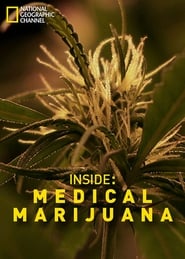 Inside Medical Marijuana' Poster