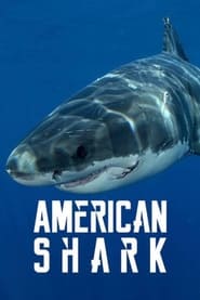 American Shark' Poster