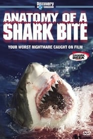 Anatomy of a Shark Bite' Poster