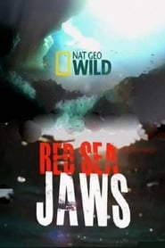 Red Sea Jaws' Poster