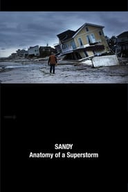 Sandy Anatomy of a Superstorm' Poster
