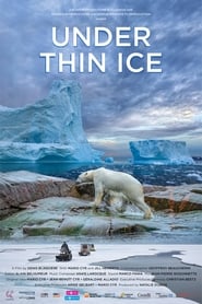 Faszination Arktis Tauchgang unter dnnem Eis' Poster