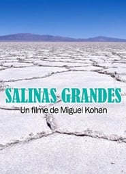 Salinas grandes' Poster