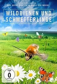 Kinder der Sonne Unsere Schmetterlinge' Poster