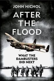 What the Dambusters Did Next' Poster
