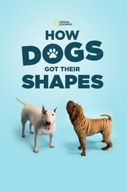 How Dogs Got Their Shapes' Poster