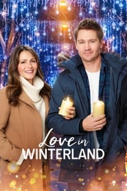 Love in Winterland' Poster