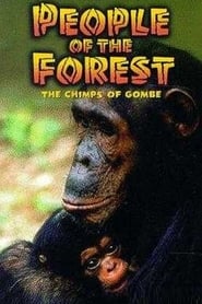 People of the Forest The Chimps of Gombe' Poster