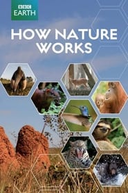 How Nature Works Jungle' Poster