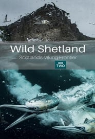 Wild Shetland Scotlands Viking Frontier