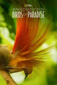Winged Seduction Birds of Paradise' Poster