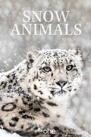 Snow Animals' Poster