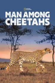Man Among Cheetahs' Poster