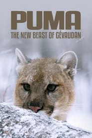Puma le fantme du Gvaudan' Poster