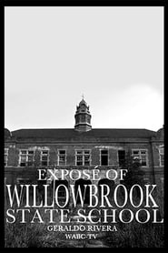 Willowbrook The Last Great Disgrace' Poster