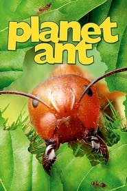 Planet Ant Life Inside the Colony' Poster