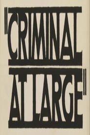 A Criminal at Large' Poster