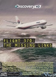 Flight 370 The Missing Links' Poster