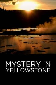Mystery in Yellowstone' Poster