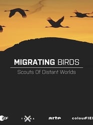 Migrating Birds  Scouts of Distant Worlds' Poster