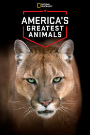 Americas Greatest Animals' Poster