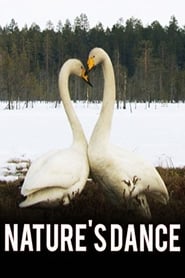 Natures Dance' Poster