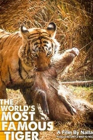 The Worlds Most Famous Tiger' Poster