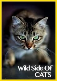 Wild Side of Cats' Poster