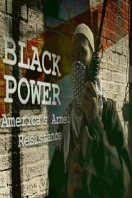 Black Power Americas Armed Resistance' Poster